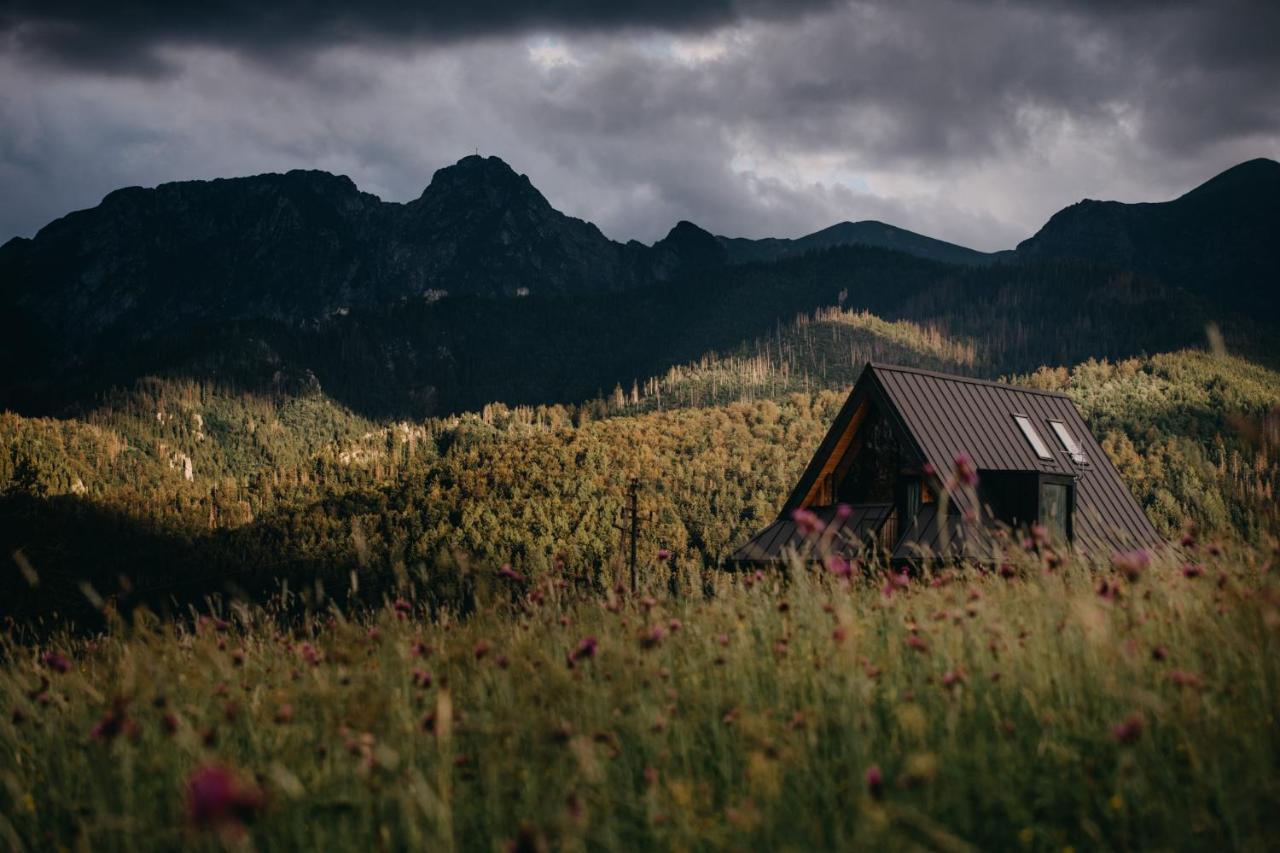 Sywarne Chalet Koscielisko Bagian luar foto