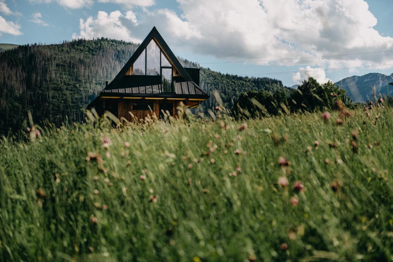Sywarne Chalet Koscielisko Bagian luar foto